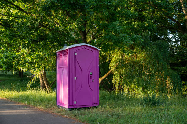 Best Affordable porta potty rental  in Shenandoah, VA